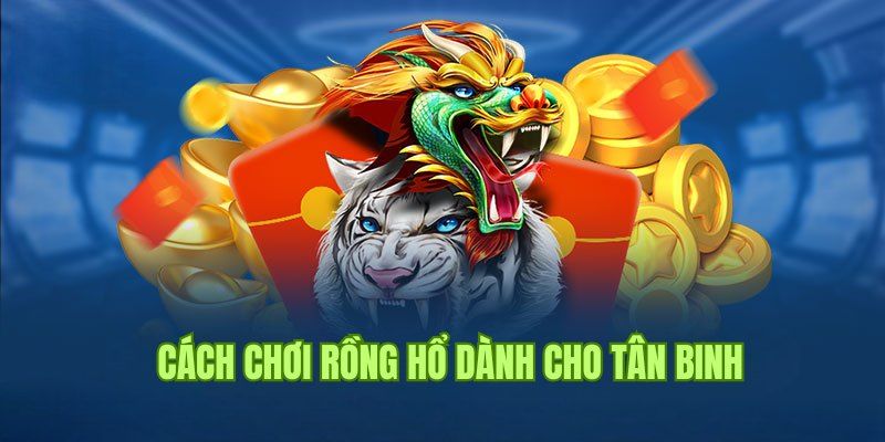 Những lựa chọn cược phổ biến khi chơi rồng hổ 8KBET